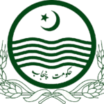 png-clipart-government-of-punjab-pakistan-project-management-unit-primary-secondary-health-department-chief-minister-others-leaf-company-removebg-preview